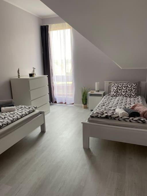 Star Apartment